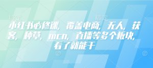 小红书必修课，覆盖电商，无人，获客，种草，mcn，直播等多个板块，看了就能干-网创小站