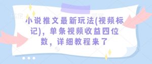 小说推文最新玩法(视频标记)，单条视频收益四位数，详细教程来了-网创小站