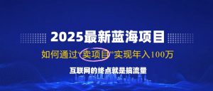 2025最新蓝海项目，零门槛轻松复制，月入10万+，新手也能操作！-网创小站