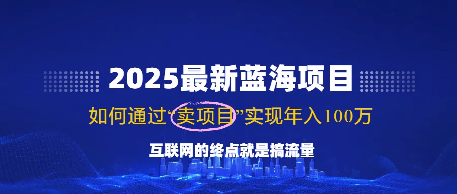 2025最新蓝海项目，零门槛轻松复制，月入10万+，新手也能操作！-网创小站