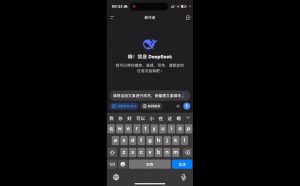 deepseek+小红书打造流量生产线实操课-网创小站