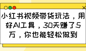 小红书视频带货玩法,用好AI工具,30天赚了5万,你也能轻松做到-网创小站
