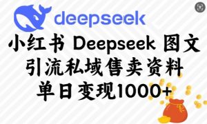 小红书Deepseek图文引流私域售卖资料，单日变现多张-网创小站