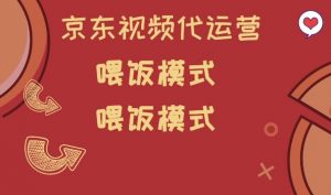 京东短视频代运营，喂饭模式，小白轻松上手【揭秘】-网创小站