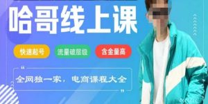 电商线上课程2025年，快速起号，流量破层级，这套方法起号率99%-网创小站