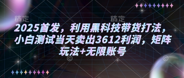 2025首发，利用黑科技带货打法，小白测试当天卖出3612利润，矩阵玩法+无限账号【揭秘】-网创小站