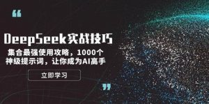 DeepSeek实战技巧：集合最强使用攻略，1000个神级提示词，让你成为AI高手-网创小站