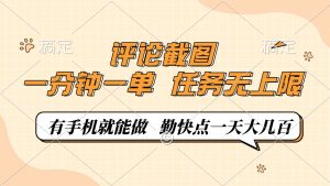 评论截图，一分钟一单，有手机就能做，任务无上限，轻松一天大几百-网创小站