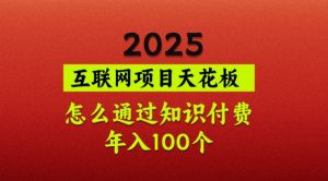 2025项目天花板，普通怎么通过知识付费翻身，年入百个【揭秘】-网创小站