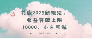 书旗2025新玩法，收益突破上限10000，小白可做-网创小站