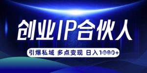 云帆·创业ip合伙人打造3.0，从0到1教你做网创，实现月入过W-网创小站