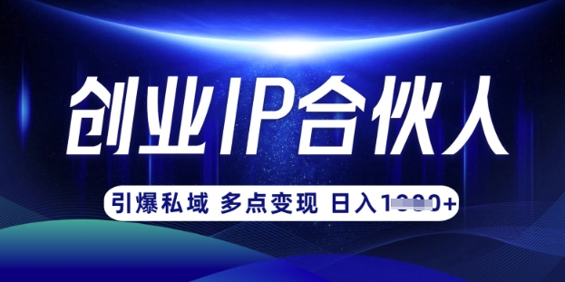 云帆·创业ip合伙人打造3.0,从0到1教你做网创,实现月入过W-网创小站