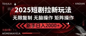 2025短剧拉新玩法，无需注册登录，无限0撸，无脑批量操作日入2000+-网创小站