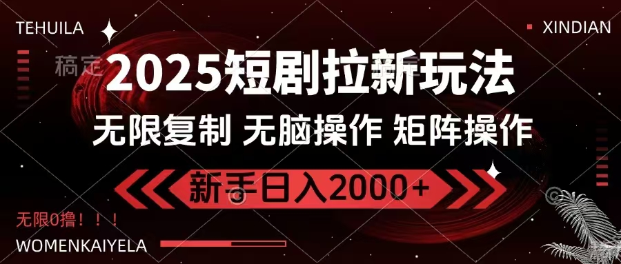 2025短剧拉新玩法，无需注册登录，无限0撸，无脑批量操作日入2000+-网创小站
