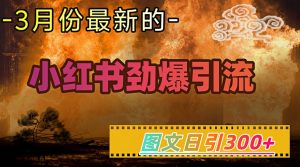 小红书超劲爆引流手段，图文日引300+轻松变现1W-网创小站