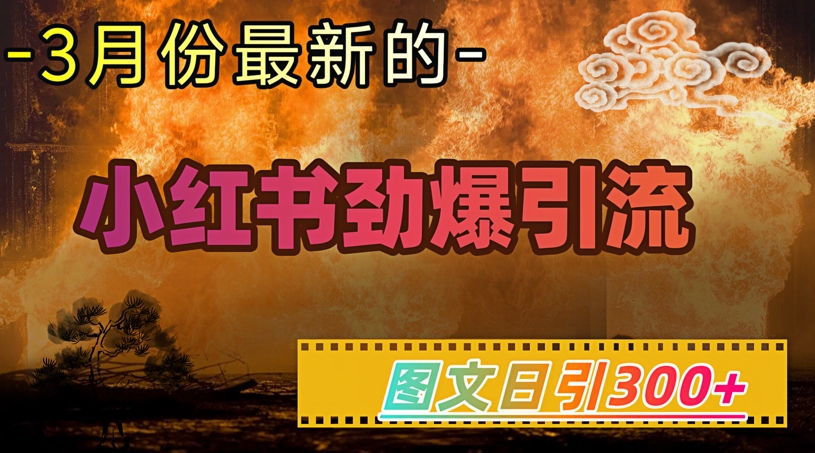 小红书超劲爆引流手段，图文日引300+轻松变现1W-网创小站