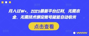 月入过W+，2025最新平台红利，无需本金、无需技术绑定账号就能自动收米-网创小站