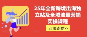 25年全新跨境出海独立站及全域流量营销实操课程，跨境电商独立站TIKTOK全域营销普货特货玩法大全-网创小站