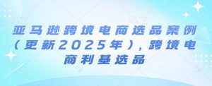 亚马逊跨境电商选品案例(更新2025年3月)，跨境电商利基选品-网创小站