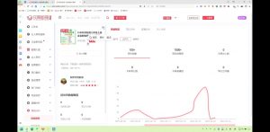 2025小红书虚拟电商实战课-网创小站