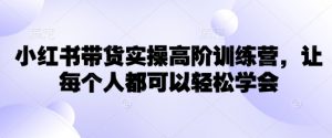 小红书带货实操高阶训练营，让每个人都可以轻松学会-网创小站