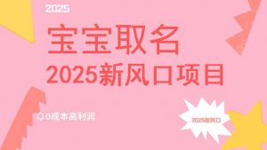 2025新风口项目宝宝取名，0成本高利润，附保姆级教程，月入过万不是梦-网创小站