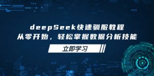 deepSeek快速驯服教程，从零开始，轻松掌握数据分析技能-网创小站