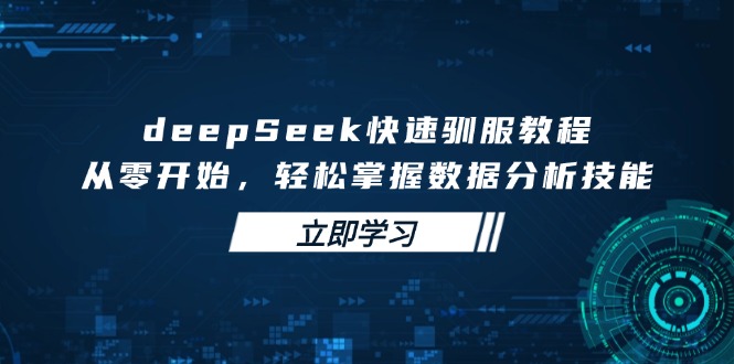 deepSeek快速驯服教程，从零开始，轻松掌握数据分析技能-网创小站