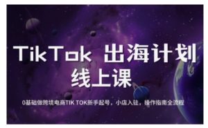 TikTok跨境电商新手起号与运营全攻略，0基础做跨境电商TIKTOK新手起号，小店入驻，操作指南全流程-网创小站
