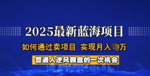 2025蓝海项目，普通人如何通过卖项目，实现月入过W，全过程【揭秘】-网创小站