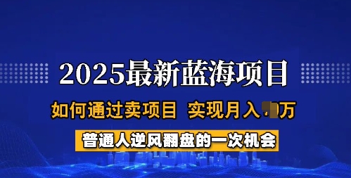 2025蓝海项目，普通人如何通过卖项目，实现月入过W，全过程【揭秘】-网创小站