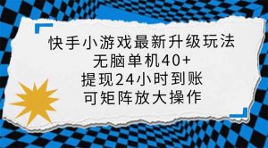 快手小游戏最新版升级玩法，新风口，无脑单机日入40+，可批量放大，小...-网创小站