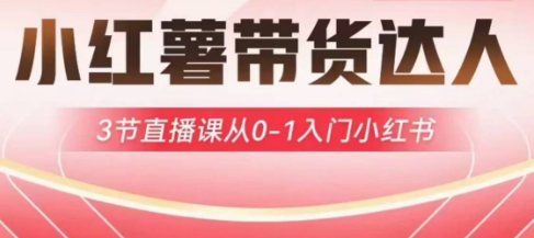 小红薯达人带货启航计划，3节直播课从0-1入门小红书-网创小站
