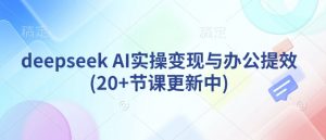 deepseek AI实操变现与办公提效(20+节课更新中)-网创小站