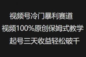 视频号冷门暴利赛道视频100%原创保姆式教学起号三天收益轻松破千-网创小站