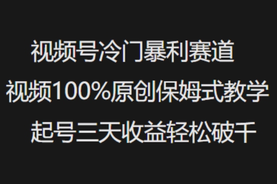 视频号冷门暴利赛道视频100%原创保姆式教学起号三天收益轻松破千-网创小站