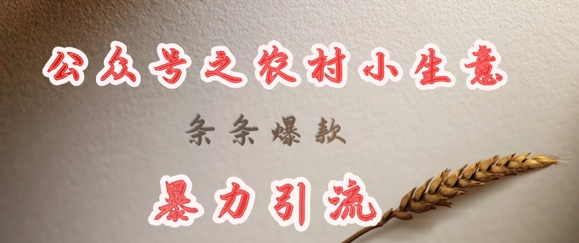 deepseek写农村小项目，条条爆款，暴力引流-网创小站