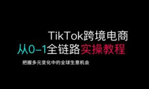 TikTok跨境电商从0-1全链路全方位实操教程，把握多元变化中的全球生意机会-网创小站