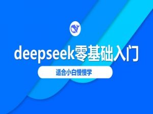 deepseek零基础入门-deepseek教程2025，适合小白慢慢学-网创小站