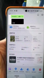 抖音暴力涨粉技术：一天轻松1-10万粉，技术不确定真实性，自测-网创小站