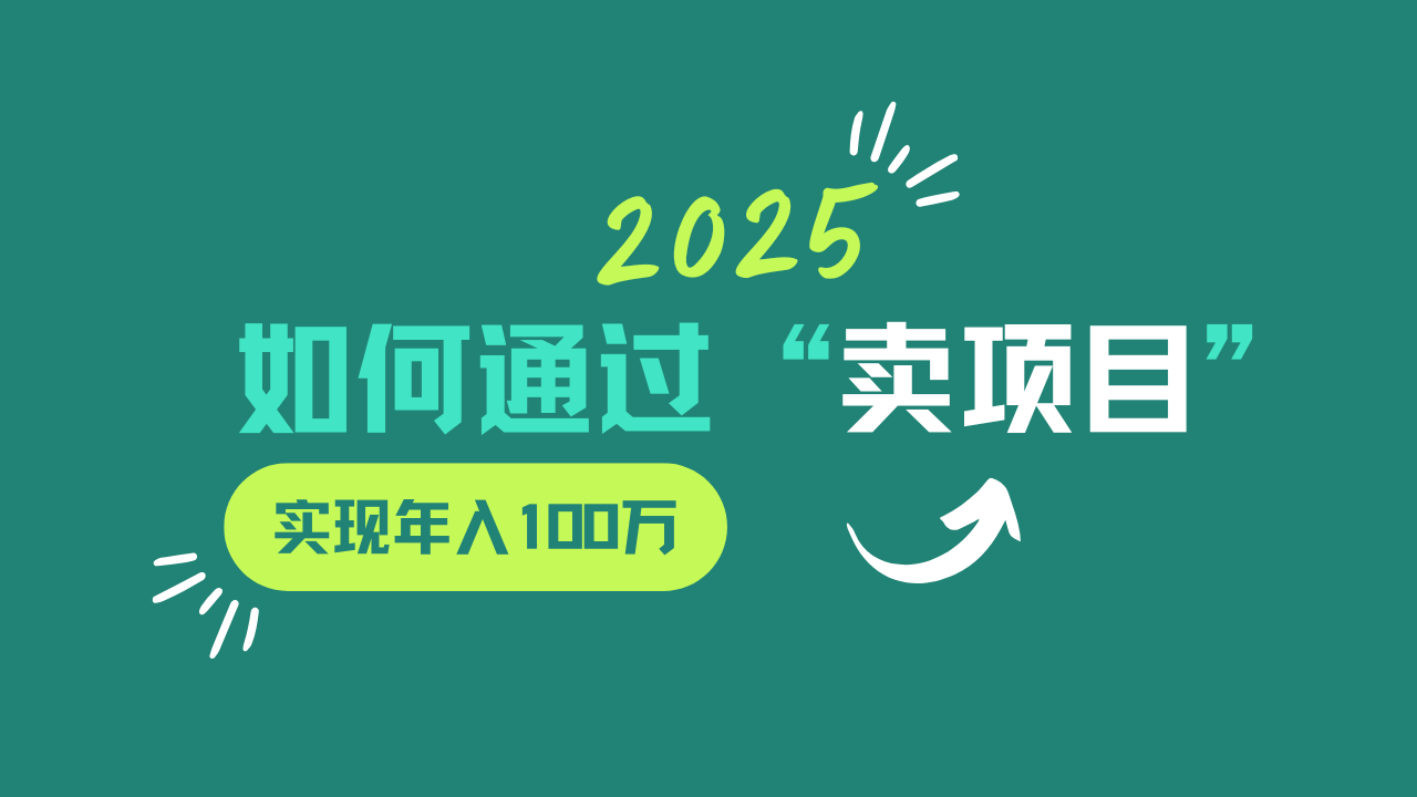 2025年如何通过“卖项目”实现年入100w-网创小站