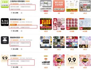 0成本虚拟项目实战手把手教你落地，单店月入5k-网创小站