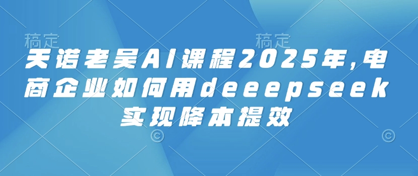 天诺老吴AI课程2025年，电商企业如何用deeepseek实现降本提效-网创小站