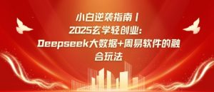 小白逆袭指南，2025玄学轻创业：Deepseek大数据+周易算法的融合玩法-网创小站
