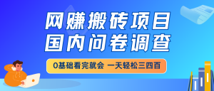网赚搬砖项目，国内问卷调查，0基础看完就会 一天轻松三四百，靠谱副业...-网创小站