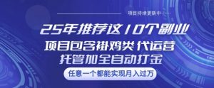25年推荐这10个副业项目包含褂鸡类、代运营托管类、全自动打金类【揭秘】-网创小站