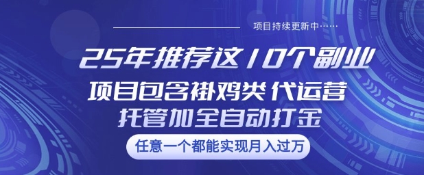 25年推荐这10个副业项目包含褂鸡类、代运营托管类、全自动打金类【揭秘】-网创小站