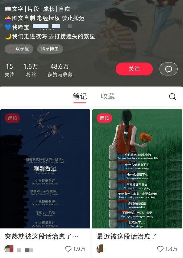 小红书治愈文案图文笔记，零门槛，一分钟制作轻松制作爆款作品月入万元-网创小站