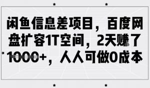 闲鱼信息差项目，百度网盘扩容1T空间，2天收益1k+，人人可做0成本-网创小站