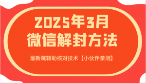 2025年3月微信解封方法 最新跳辅助核对技术【小伙伴亲测】-网创小站
